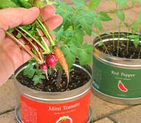 カンタン!ベランダ菜園