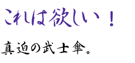 これは欲しい！真迫の武士傘