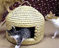 秋山郷の特産品「猫ちぐら」/ギフト