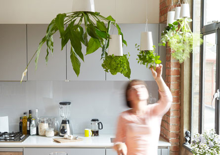 空中観葉植物用スカイプランター